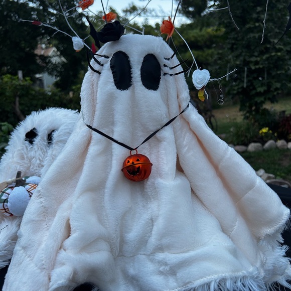 Adoptable ghosts for your homes decor this Halloween - Picture 8 of 8